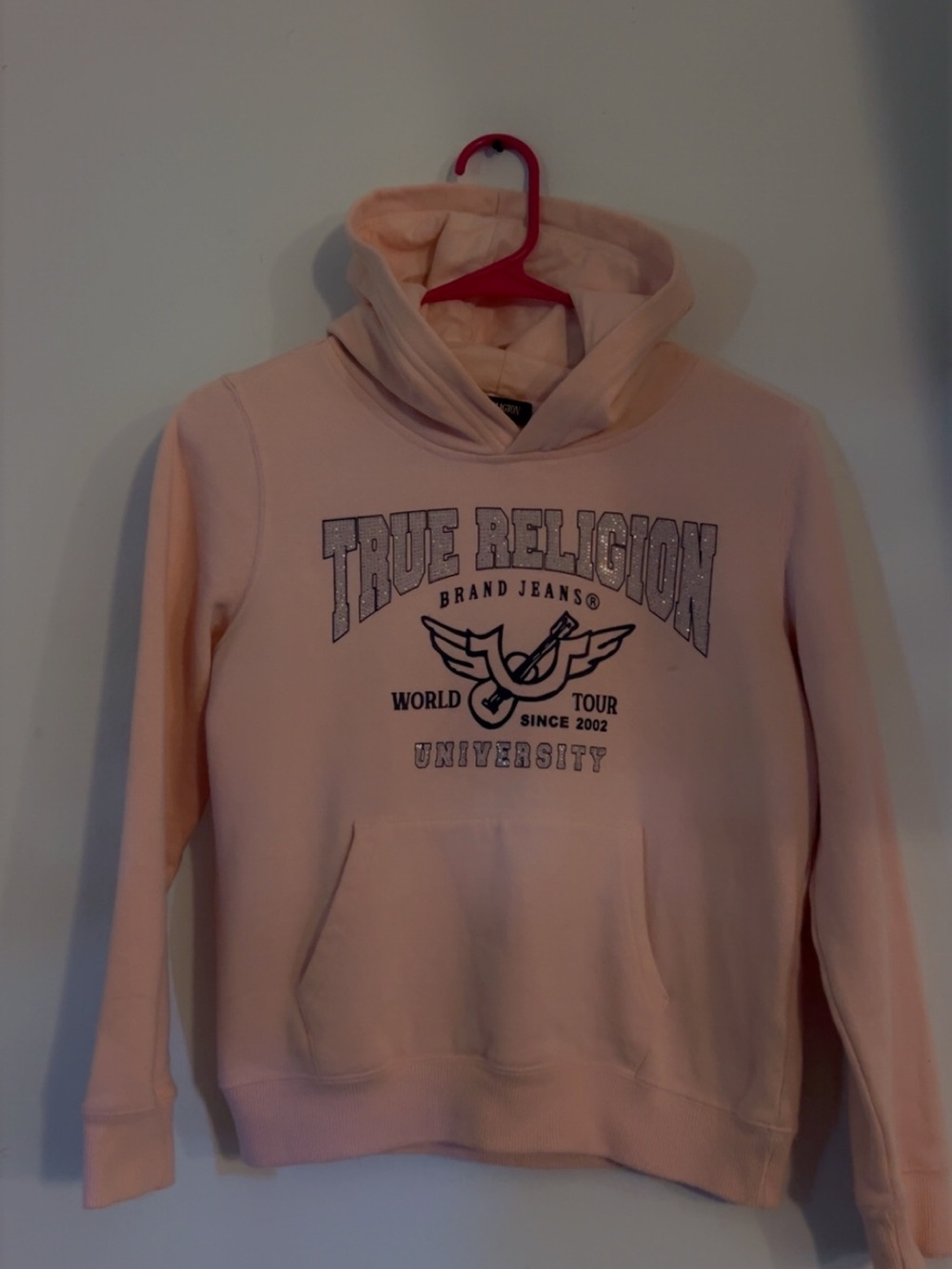 True Religion Light Pink Hoodie with Graphic University Logo